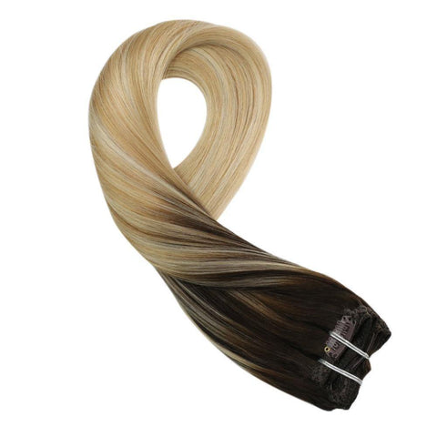 Brown #2 Fading To Blonde #27 Mixed Blonde #613(#2/27/613)